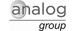 Analog Group